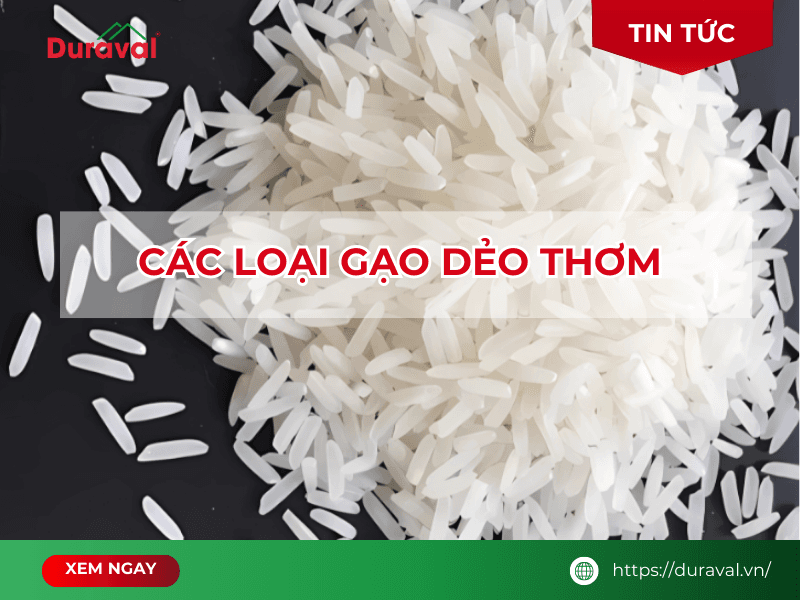các loại gạo