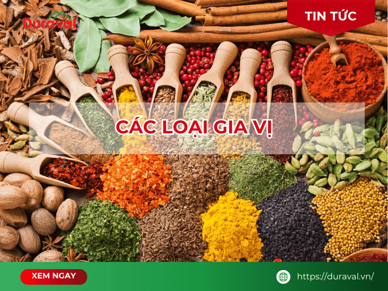 Các loại gia vị nấu ăn cần thiết trong căn bếp Việt Nam