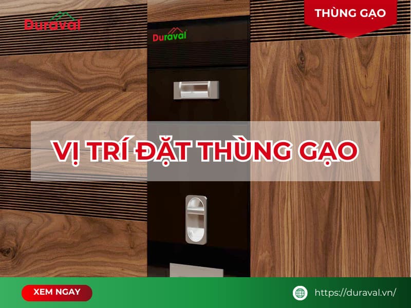 Vị trí đặt thùng gạo