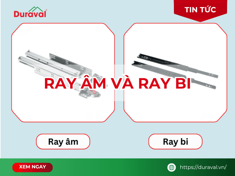 ray âm và ray bi