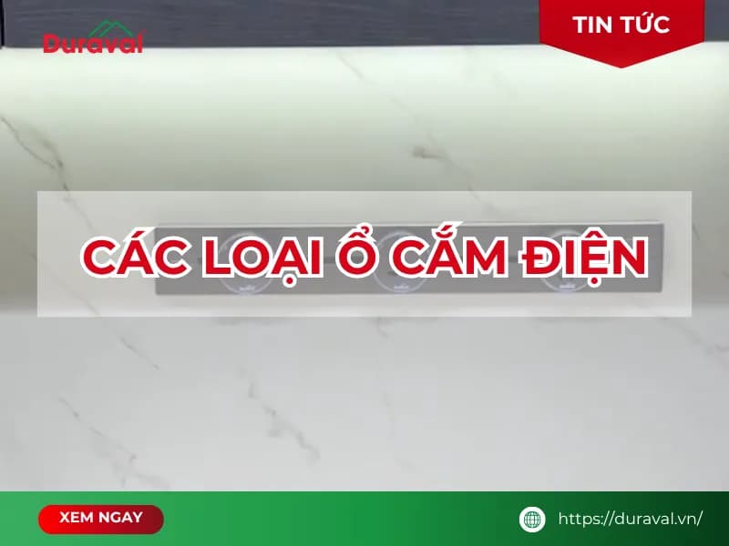 Các loại ổ cắm điện tốt nhất được ưa chuộng hiện nay