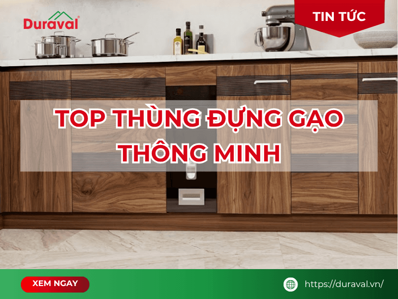 Mẫu thùng đựng gạo thông minh