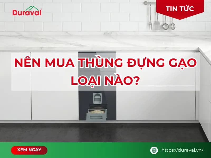 Nên mua thùng đựng gạo loại nào?