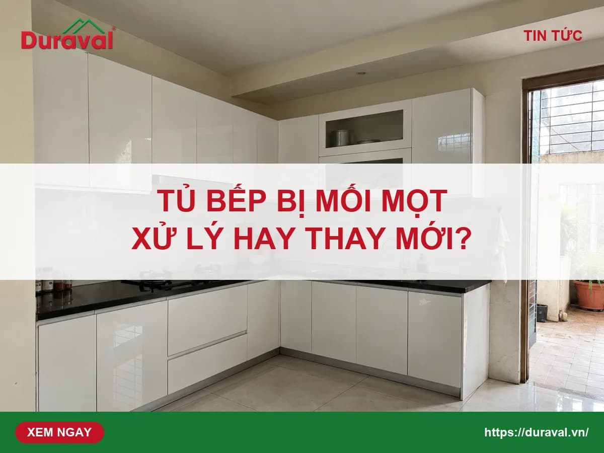 Tủ bếp bị mối mọt: dấu hiệu nhận biết, nguyên nhân và cách xử lý