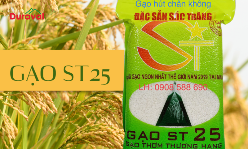 Gạo ST 25 được mệnh danh là "Gạo ngon nhất thế giới" tại cuộc thi World's Best Rice