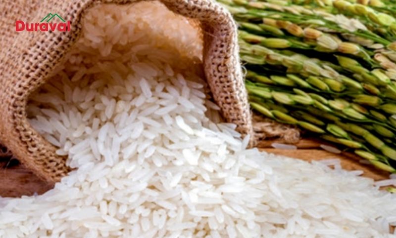 Gạo tám xoan Hải Hậu