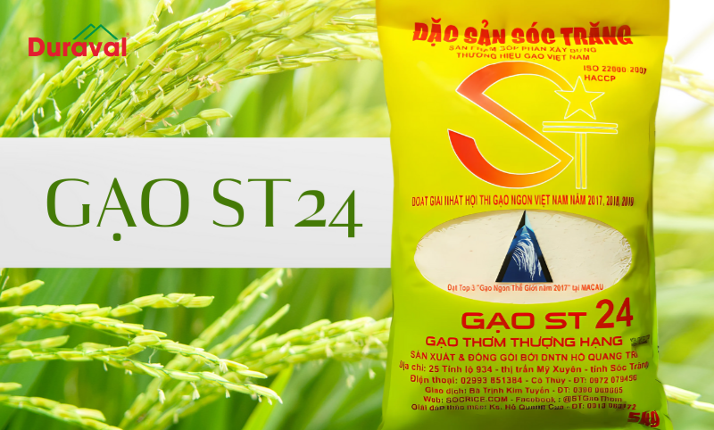 Gạo ST 24 được xướng tên trong top 3 loại gạo ngon nhất thế giới