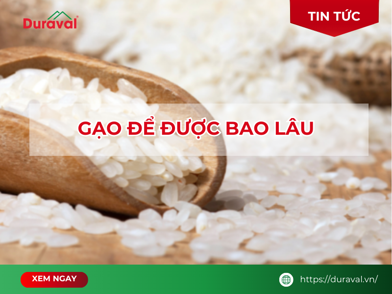 Gạo để được bao lâu
