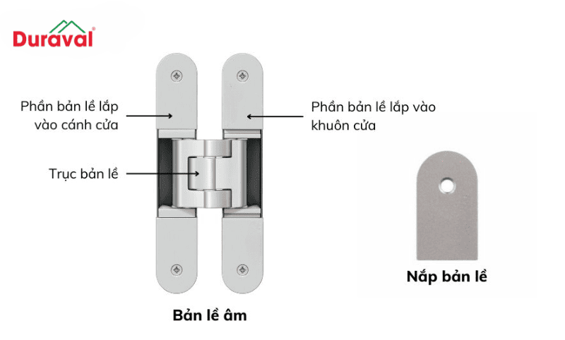 Cấu tạo cơ bản của bản lề âm