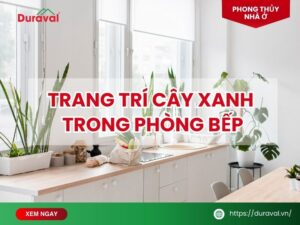 Trang trí cây xanh trong phòng bếp