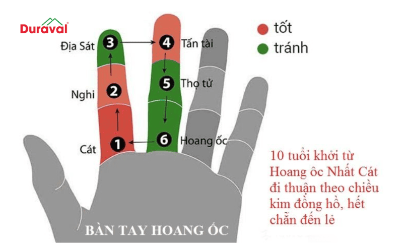Tuổi Hoang Ốc