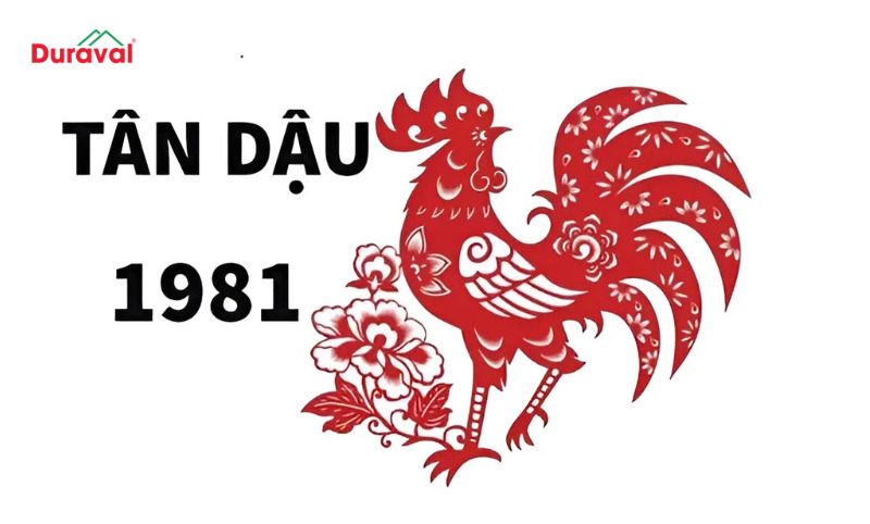 Tổng quan tuổi Tân Dậu 1981