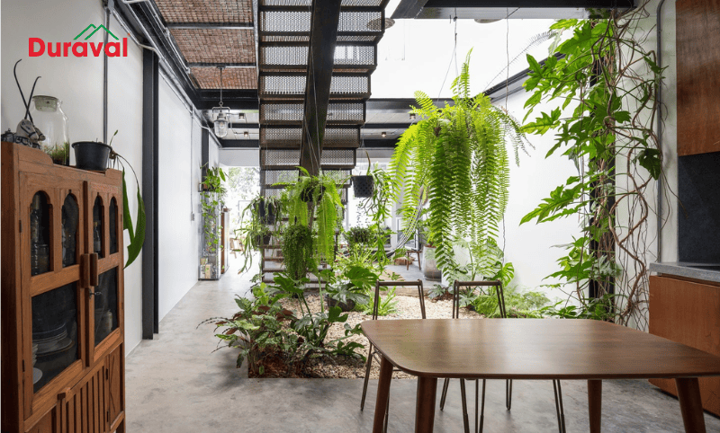 Tận dụng mọi ánh sáng tự nhiên